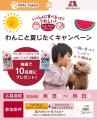 「一緒だからもっとおいしい」をテーマに、 森永製菓
