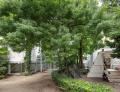 第61回ヴェネチア・ビエンナーレ日本館、会期後半のプ