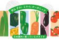 【有機種子・新品種】はたあまね（タマネギ） 先行販