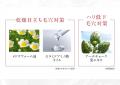 黒ずみ毛穴・詰まり毛穴と向き合う新発想ケア！「AFTA