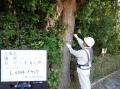 【横浜市】【第二弾】吉田兼好の歌にも詠まれた「いた