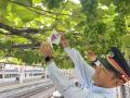 【日本でここだけ！】「駅ホームのぶどう園」色utf-8