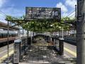 【日本でここだけ！】「駅ホームのぶどう園」色utf-8