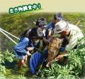 滋賀県の子どもたちへ!絵日記・壁新聞をつくろう!! 滋賀県の子どもたちへ!絵日記・壁新聞をつくろう!!