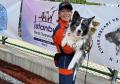 【学校法人立志舎】災害救助犬世界チャンピオン 中野 【学校法人立志舎】災害救助犬世界チャンピオン 中野