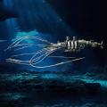 なぜ人は、深海の巨大イカに惹かれるのか。──未知への