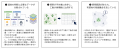 東京大学発AIスタートアップのDataPrism Technologies
