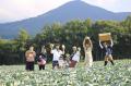 YADOKARI VILLAGE 北軽井沢、開業1周年。1周年記念特