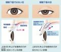 医療法人社団 岡田クリニック 眼科・緑内障・糖utf-8