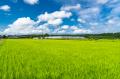 ぜ~んぶ千葉県産!地元愛にあふれた「究極のご当地グ ぜ~んぶ千葉県産!地元愛にあふれた「究極のご当地グ