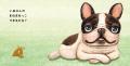 「いぬさんの まねまねっこ できるかな？」動物たちの