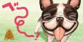 「いぬさんの まねまねっこ できるかな？」動物たちの