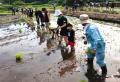 NOK九州、熊本の地下水を育む「水田オーナー制度」の