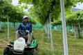 和歌山県田辺市の関係人口創出プロジェクト「TANABEES 和歌山県田辺市の関係人口創出プロジェクト「TANABEES
