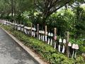 【西武秩父駅前温泉 祭の湯】地元園児が描く約280個の