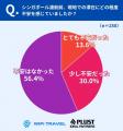 【シンガポール渡航調査】“安全でクリーン”でも約3割 【シンガポール渡航調査】“安全でクリーン”でも約3割