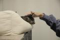 【大阪】企業の社会貢献を