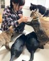 【大阪】企業の社会貢献を
