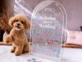 結婚証明書も 結婚証明書も