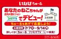 デジタルサイネージ「ファミマTV」の人気番組「わんに デジタルサイネージ「ファミマTV」の人気番組「わんに