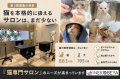 【全国20店舗・開業2年目以降の店舗は全店黒字化】猫 【全国20店舗・開業2年目以降の店舗は全店黒字化】猫