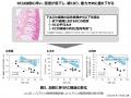 加齢で目立つ“目袋”に繋がる「下まぶたの構造変化」を 加齢で目立つ“目袋”に繋がる「下まぶたの構造変化」を