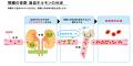 スポーツ・健康産業国内最大の展示会『SPORTEC2026』
