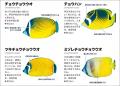 日本近海で見られる海水魚を見分けられる！ 大好評の