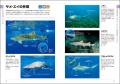 日本近海で見られる海水魚を見分けられる！ 大好評の