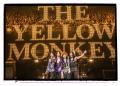 THE YELLOW MONKEY 再集結から10周年、フォトグラフ THE YELLOW MONKEY 再集結から10周年、フォトグラフ
