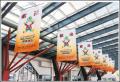 【埼玉県】「ねんりんピック彩の国さいたま2026」開催