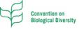 「The MIDORI Prize for Biodiversity 2026」受賞者決 「The MIDORI Prize for Biodiversity 2026」受賞者決