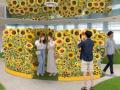 サンシャインシティの夏イベント2026 サンシャインシティの夏イベント2026