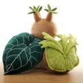 【抱きしめられるビカクシダ】3種の珍奇植物がまさか
