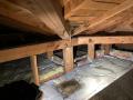【住宅防災】台風時期前後の短期間で戸建て住宅utf-8