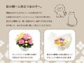 友人のペットが亡くなったら何を贈る？SNSで訃報utf-8