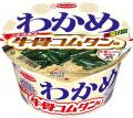 わかめラーメン 牛骨コムタン味/旨辛ユッケジャン味 わかめラーメン 牛骨コムタン味/旨辛ユッケジャン味