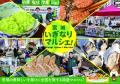 宮城県の美味しいものを集めた販売会「宮城いぎなりマ 宮城県の美味しいものを集めた販売会「宮城いぎなりマ