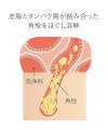 【7/15(水)発売】大人の角栓・毛穴まで、つるんとなめ 【7/15(水)発売】大人の角栓・毛穴まで、つるんとなめ