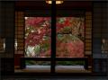 【阪九フェリー関西発団体ツアー】11月限定特別企画 