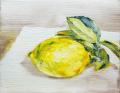 【YUGEN Gallery FUKUOKA】グループ展「いきものたち 【YUGEN Gallery FUKUOKA】グループ展「いきものたち