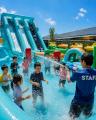 【岸和田】逃げても追いかけられる!? 日本最大級の巨