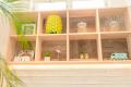 【大阪・服部緑地】ALOHA CAFE Pineappleが新業態に挑