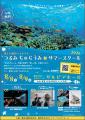 【毎年大好評！横浜で沖縄の海を体験】2026年8月8日（
