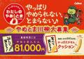 発売40周年を迎える『かっぱえびせん フレンチサラダ 発売40周年を迎える『かっぱえびせん フレンチサラダ