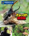 触れよう、学ぼう、楽しもう！『世界のカブト・クワガ