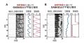 体内時計が排卵周期を整える新たな神経メカニズムを発 体内時計が排卵周期を整える新たな神経メカニズムを発