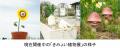 7月13日（月）六甲山 夏の風物詩「氷室開き」をutf-8