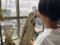 夏休み限定イベント「カワスイで カワ遊び！川と森の