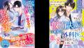 ハイスペック男性との恋愛小説「ベリーズ文庫」新刊7 ハイスペック男性との恋愛小説「ベリーズ文庫」新刊7